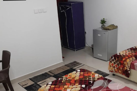 هاستل فانوس